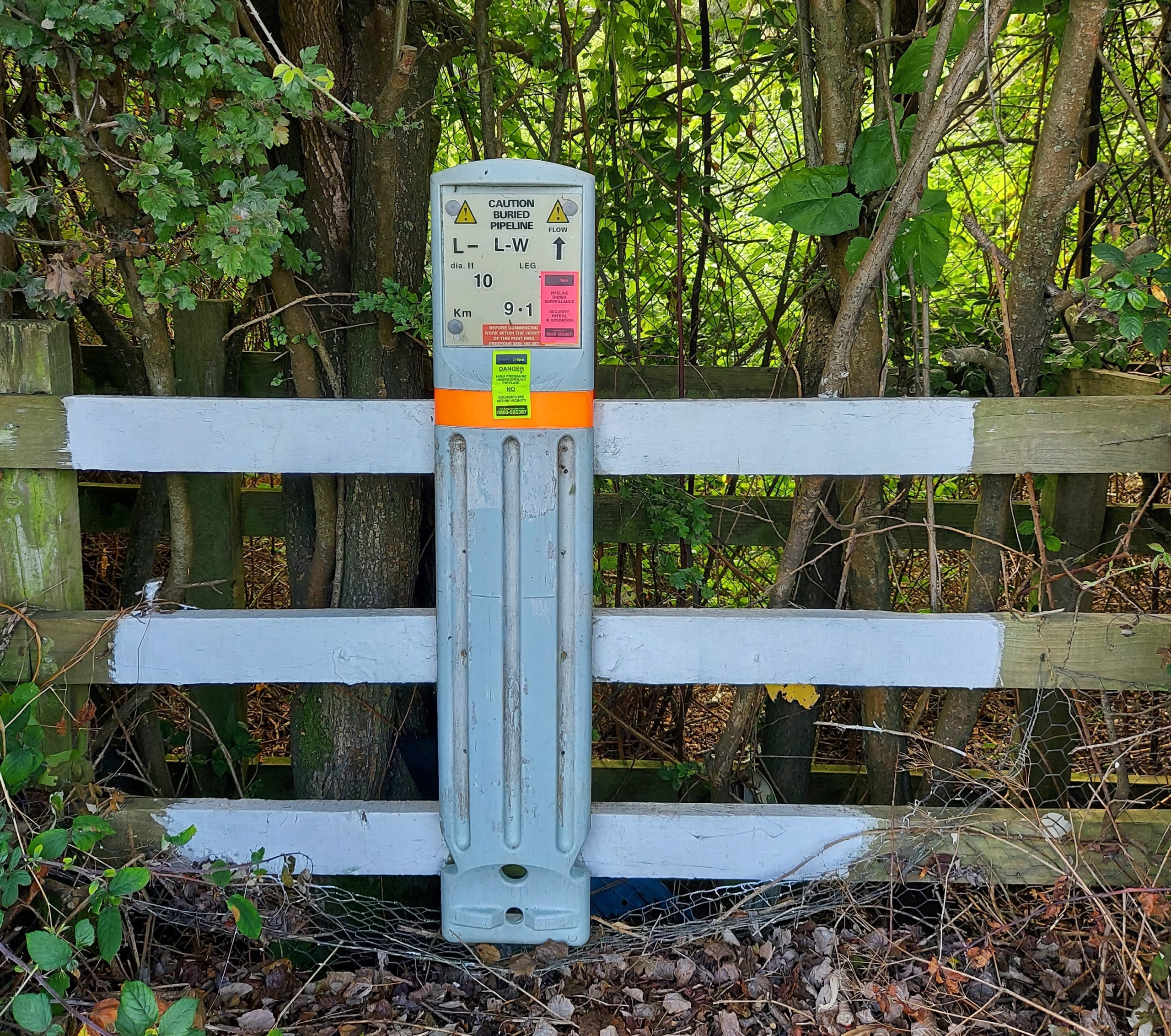 Personalize this water line sign with contact information so excavators  know who to call before working. - sign custom caution water line buried  sign